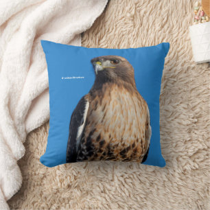 Magnificant Red-Tails Hawk i Sol Kudde