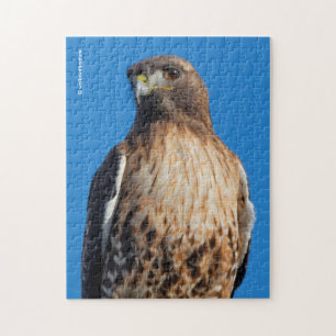 Magnificant Red-Tails Hawk i Sol Pussel