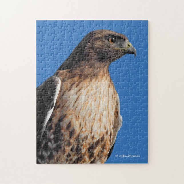 Magnificant Red-Tails Hawk i Sol Pussel (Vertikal)