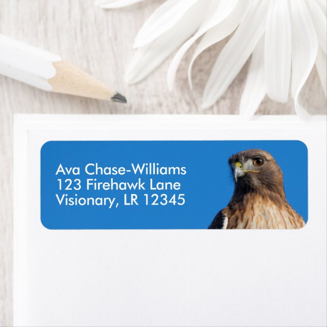 Magnificant Red-Tails Hawk i Sol Returadress Etikett (Insitu)