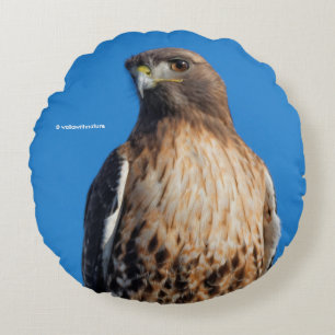 Magnificant Red-Tails Hawk i Sol Rund Kudde