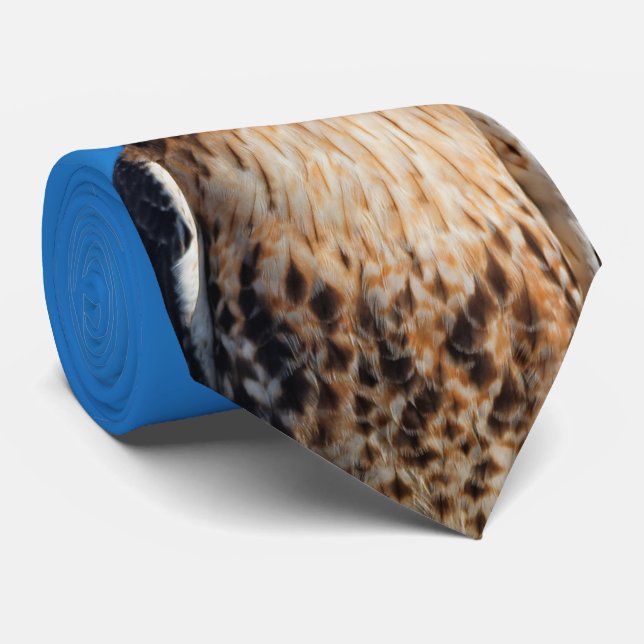 Magnificant Red-Tails Hawk i Sol Slips (Rullad)