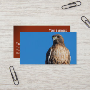 Magnificant Red-Tails Hawk i Sol Visitkort