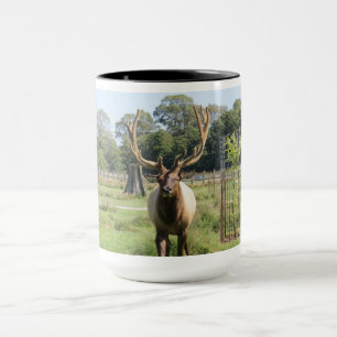Magnificent Bull Elk Photo on 15oz combo mugg