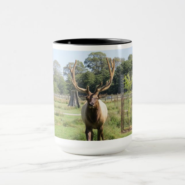 Magnificent Bull Elk Photo on 15oz combo mugg (Center)