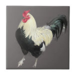 Magnificent Cockerel nr 1 Kakelplatta<br><div class="desc">Den här keramiska plattan har mitt fotografi av en fantastisk cockerel, som är avhängig av vackra, svarta och vita fjädrar och beiggande fjädrar. Jag snubblade över denna vackra varelse i ställe av en motorvägstjänst i station-parkeringen. Det fanns flera andra cockereler runt omkring det, uppenbarligen ganska hemma i deras olämpliga omgivning....</div>