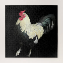 Magnificent Cockerel nr 1