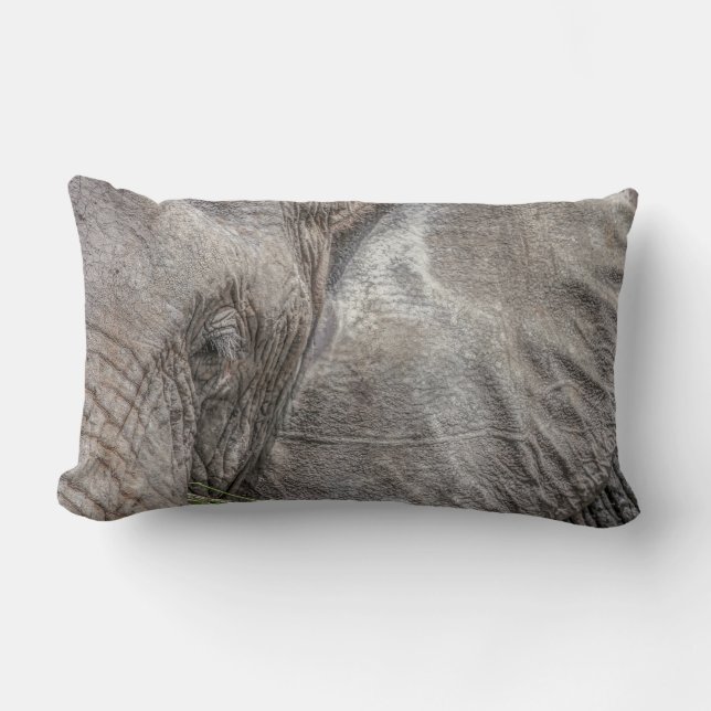 Magnificent Elephant Pillow Lumbarkudde (Framsida)