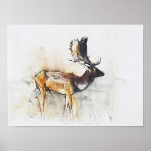 Magnificent Fallow Buck 2006 Poster