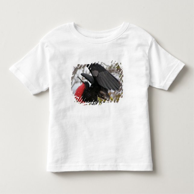 Magnificent Frigate Bird T-shirt (Framsida)