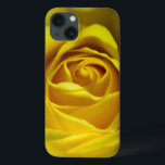 Magnificent gul ros-makro bild<br><div class="desc">Original - av YANKAdesigner! Ljusstark och färglös makrofoto blommigt av gul ros i fullt-blomman.</div>