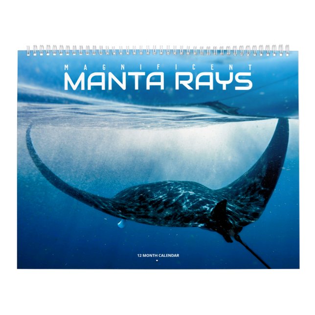 Magnificent Manta Rays Calendar Kalender (Omslag)
