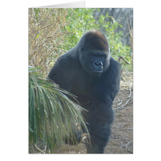 Magnificent Mountain Gorilla Hälsningskort