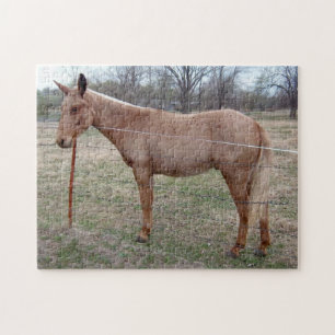 Magnificent Mule! Pussel