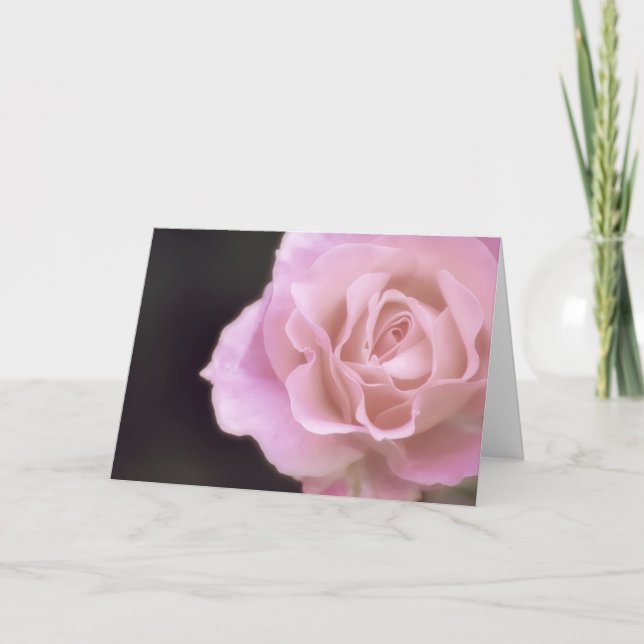 Magnificent Rosa ros Kort (Framsida)