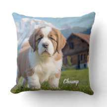 Magnificent St. Bernard-Personlig