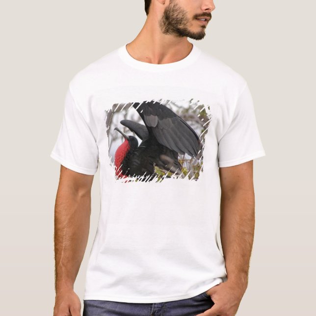 Magnifik Storfregattfågel Tee Shirt (Framsida)