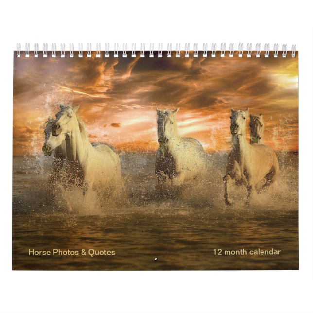 Magnifika hästar och hästcitat 12 månader kalender (Omslag)