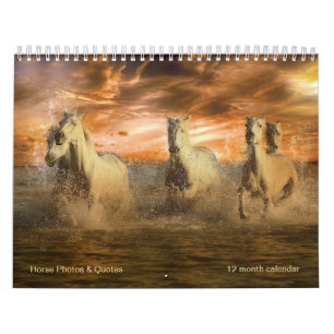 Magnifika hästar och hästcitat 12 månader kalender