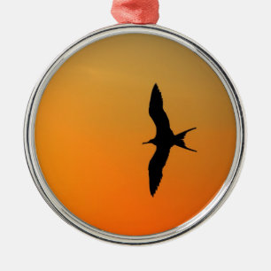 Magnifikt fregattfågel som flyger orange sunset julgransprydnad metall