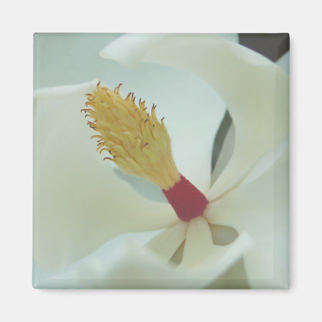 Magnolia1 Magnet (Framsidan)