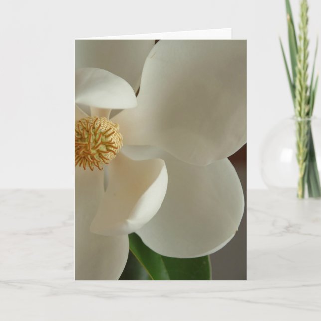 magnolia 2 kort (Framsida)