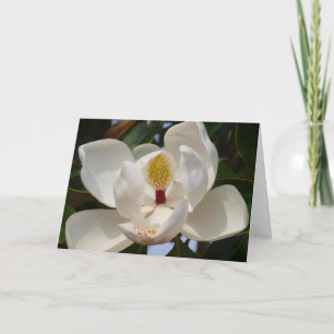 Magnolia 72 kort
