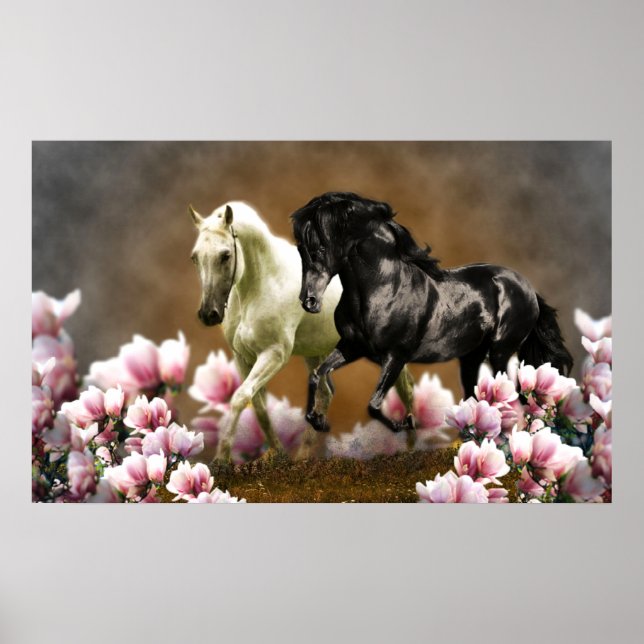 Magnolia Alley - Poster (Framsidan)