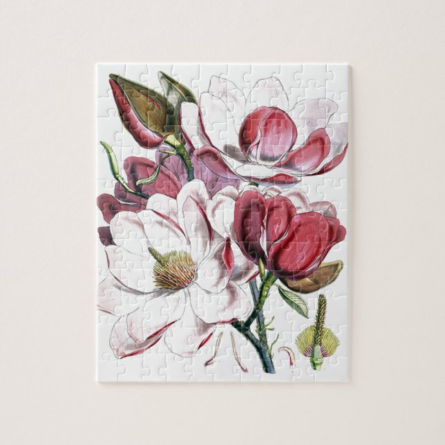 Magnolia Asian Flower Vintage Old Illustration Pussel (Vertikal)