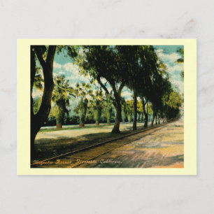 Magnolia Ave., Riverside, California Vintage Vykort