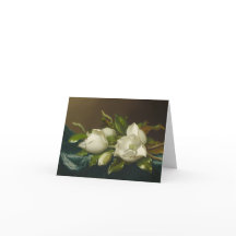 Magnolia-blomma