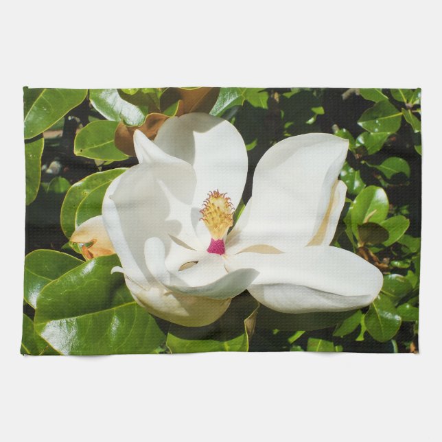 Magnolia-blomma Kökshandduk (Horisontell)