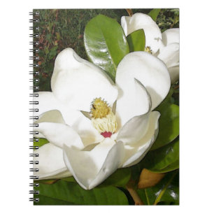 Magnolia Blommar Anteckningsbok Med Spiral