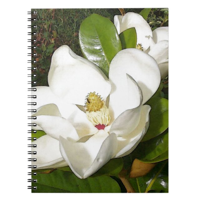 Magnolia Blommar Anteckningsbok Med Spiral (Framsidan)