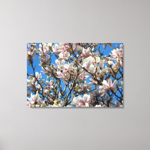 Magnolia Blommar/Blå himmel Wrapped Canvas Skriv u