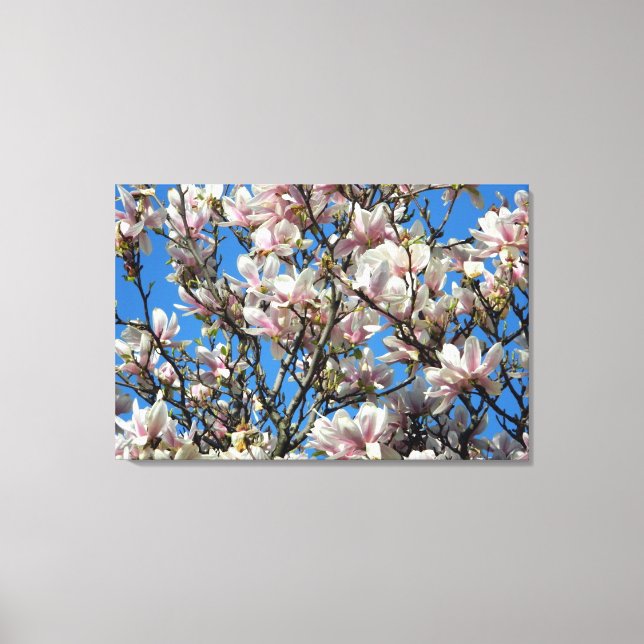 Magnolia Blommar/Blå himmel Wrapped Canvas Skriv u (Framsida)