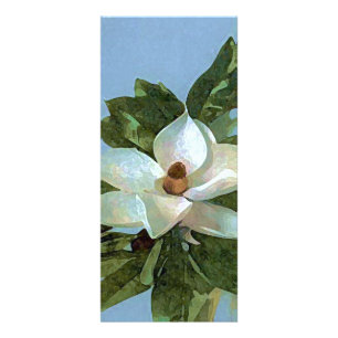Magnolia-Blommar-färgrutekort Reklamkort