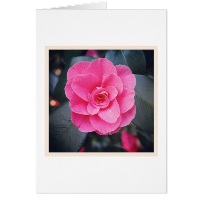 Magnolia Blommar Hälsningskort (Framsidan)