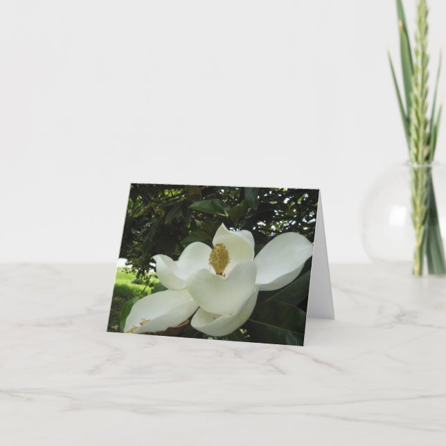 Magnolia Blommar Note Card Kort (Framsida)