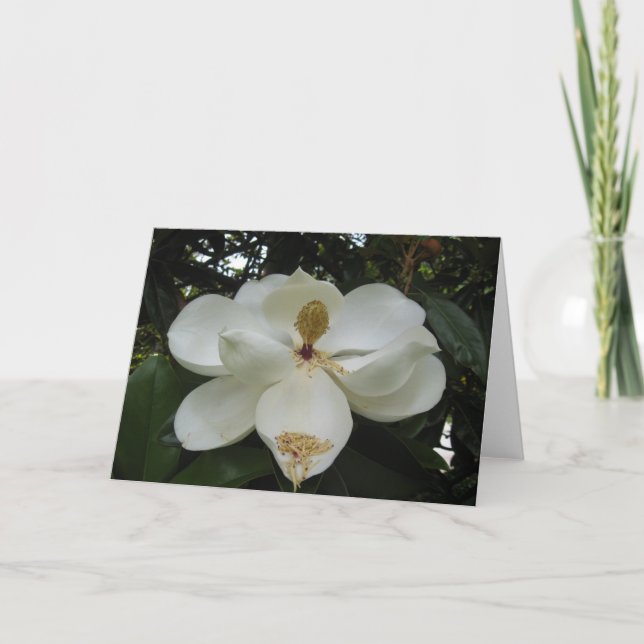 Magnolia Blommar Note Card Kort (Framsida)