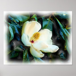 Magnolia Blommar Oljemålning Digital Art Poster