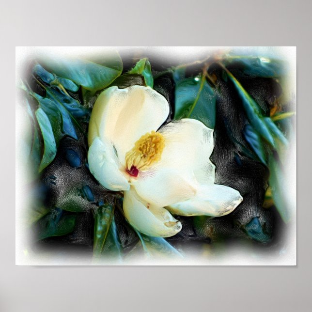 Magnolia Blommar Oljemålning Digital Art Poster (Framsidan)