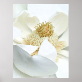 Magnolia blommar                        poster