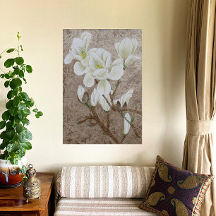 Magnolia Blommar Poster