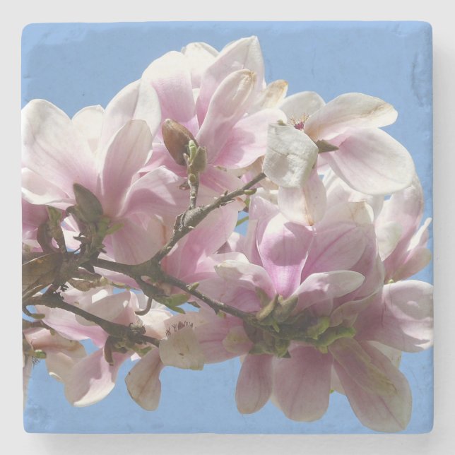Magnolia Blommar Stenunderlägg (Framsidan)