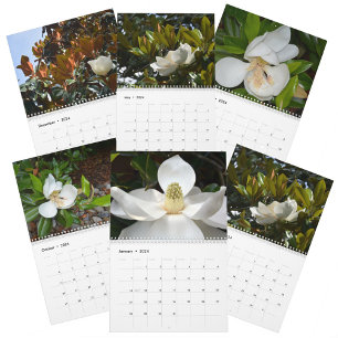Magnolia-Blommar - vacker fotografisk Blommigt Kalender