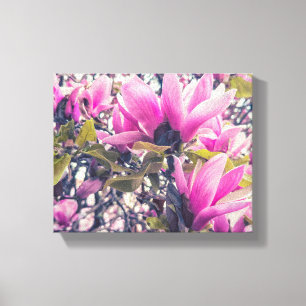 Magnolia Blommars Canvastryck