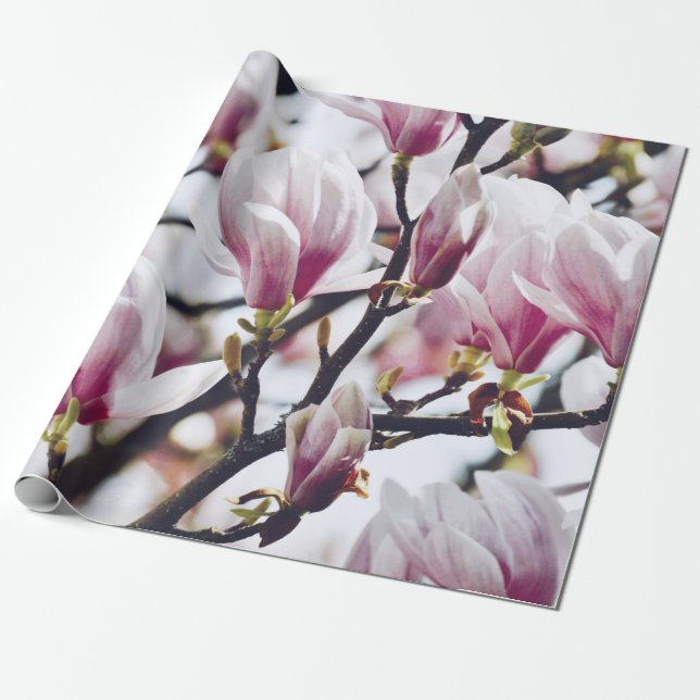 Magnolia Blommigt Botanical Blommar Vintage Antiqu Presentpapper (Utrullad)