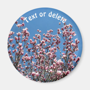 Magnolia Blommor Blå Himmel Personlig Magnet