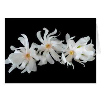 Magnolia Blomster Trio på Svart Hälsningskort